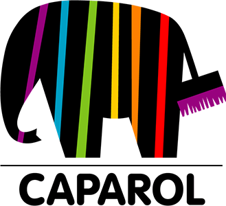 Vgrajujemo fasadne sisteme Caparol